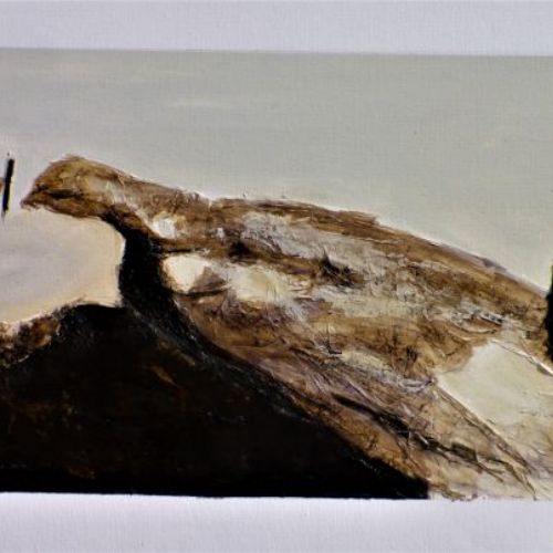 Paysage 1 100 x 50